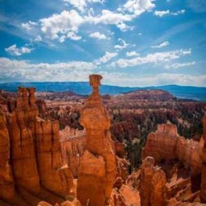 Super Action Hero Figure